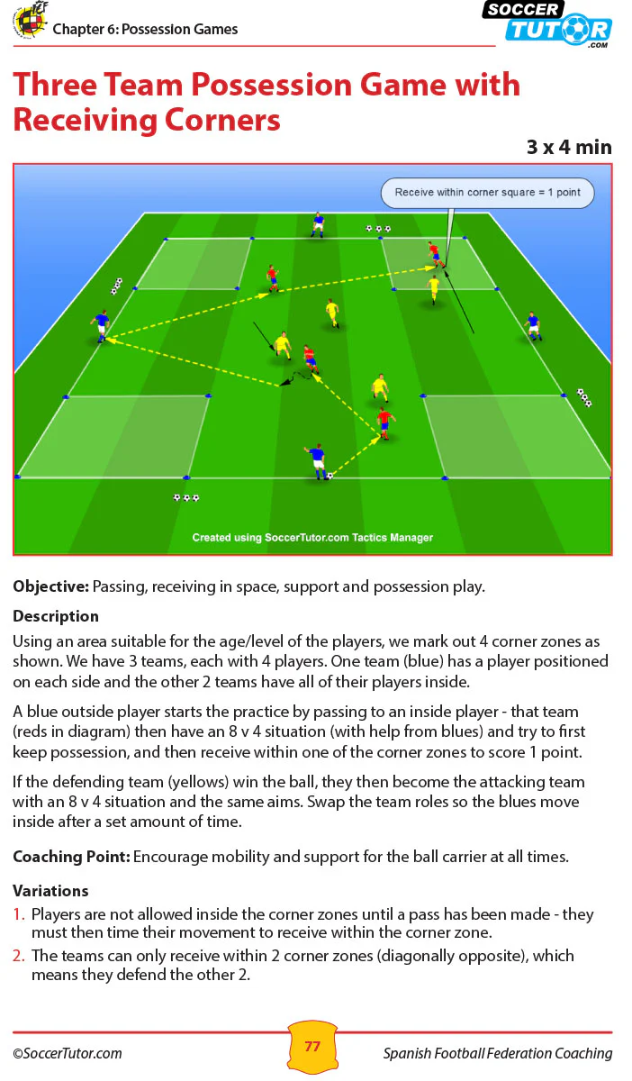Spanish Football Federation Coaching Program U9-12 - Image 5